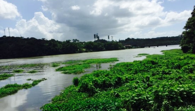Restaurante Los Lagartos餐厅图片