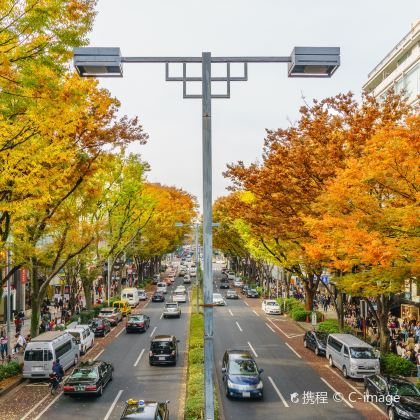 日本东京+伊豆6日5晚私家团