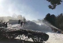 洪川郡旅游图片-南怡岛+小法兰西+江村铁轨自行车一日游