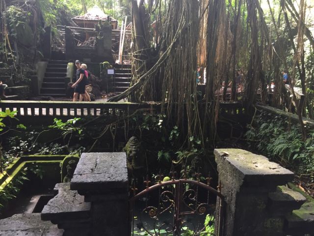 Ubud Monkey Forest