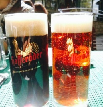 Berghotel Hexentanzplatz餐厅图片