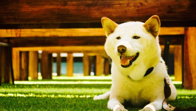 Don Juan Street & Cuisine餐厅图片