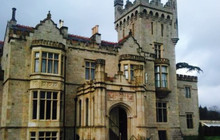 Olde Castle Bar餐厅图片