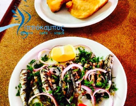 Ippokampos Tavern Cafe Snack