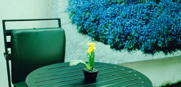 Berliner Brotfabrik Konditorei & Cafe餐厅图片