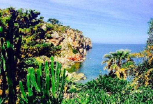 Sea Club美食图片