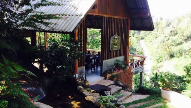 Doi-Taeng Coffee餐厅图片