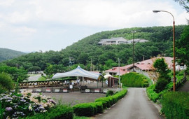 Kyororon-Mura