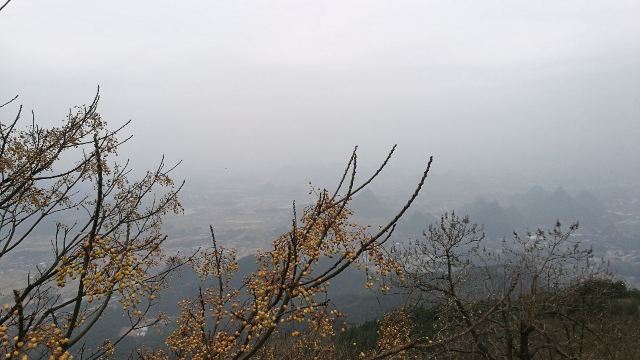 야오산