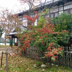 奈良 奈良女子大学 評判 案内 トリップドットコム