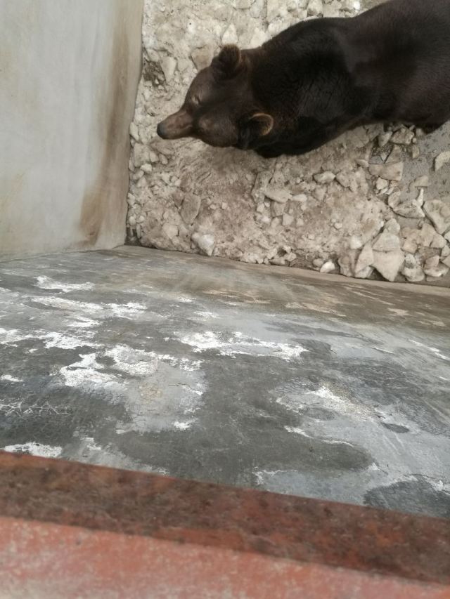 황금강 리조트