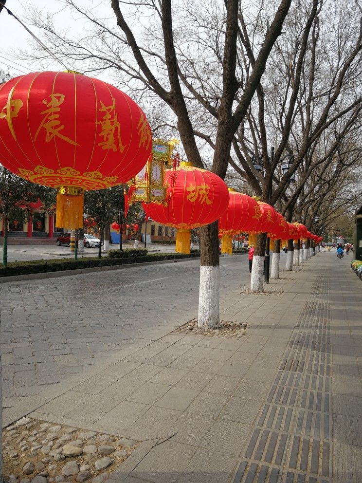 青州的街道挂着红色大灯笼，喜庆的颜色庆祝着春节的到来