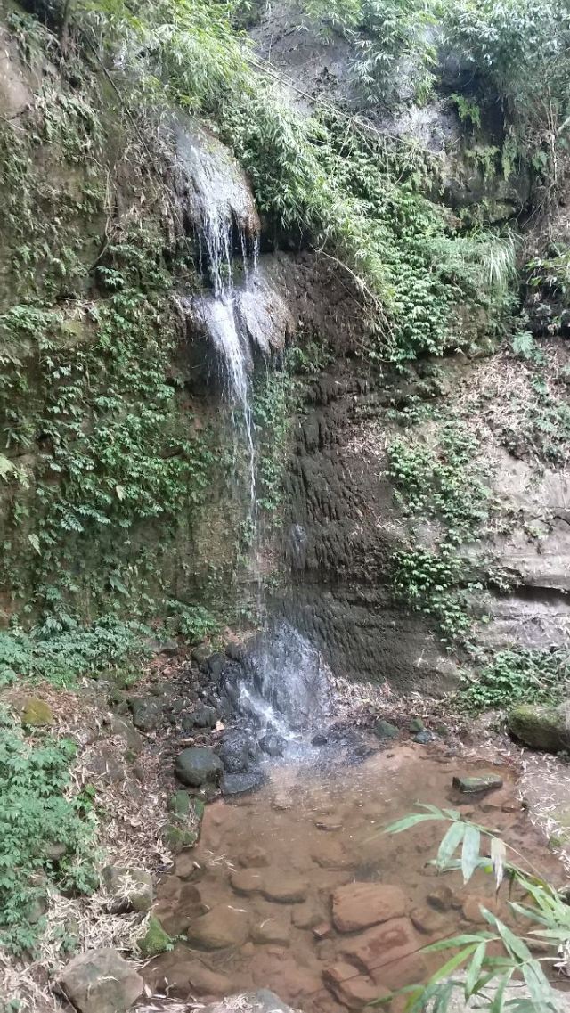 핑러고진