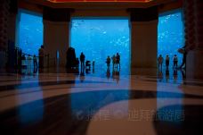 迪拜失落的空间水族馆-迪拜-doris圈圈