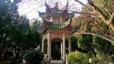 磨心山景区-岱山-YoYo_2E8Z0U3L