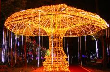 滨湖国家森林公园-合肥-doris圈圈