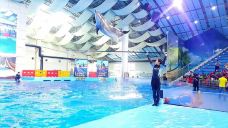 合肥海洋世界-合肥-doris圈圈