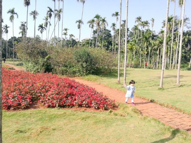 Jinniuling Park