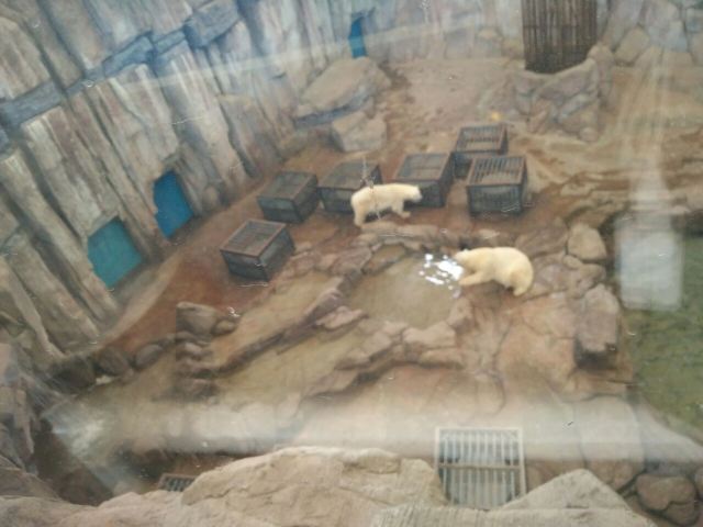 Qujiang Polar Ocean Park