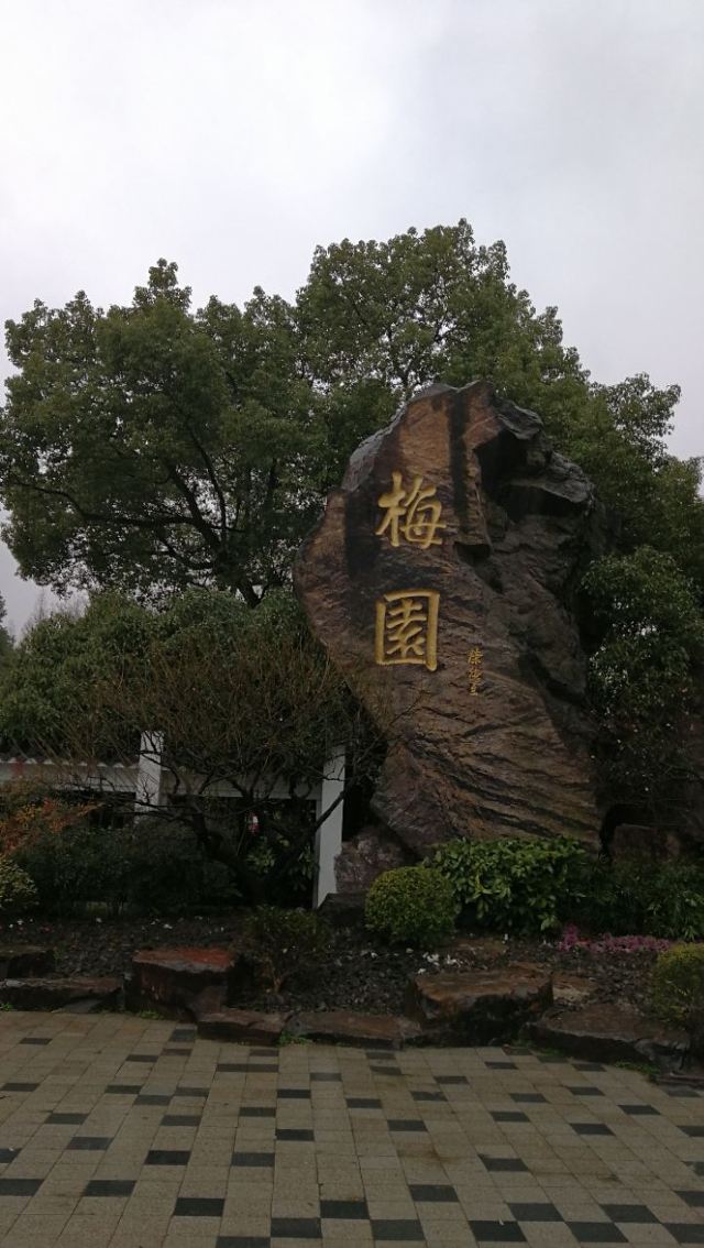 매원