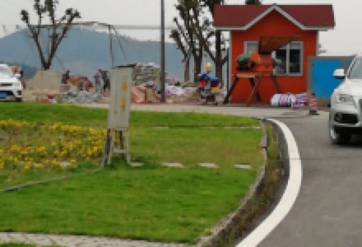 茶乡花海景点图片