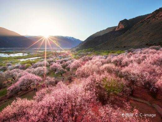 嘎拉桃花村