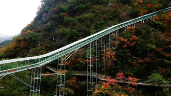 Qinling Dongtian Fudi Scenic Area