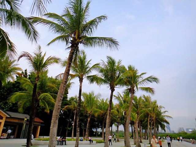 Shenzhen Mangrove Nature Reserve