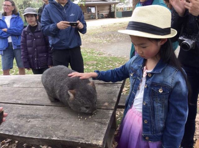 Trowunna Wildlife Park