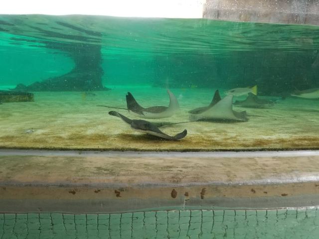 Adventure Cove Waterpark