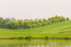 北京野生动物园-北京-doris圈圈