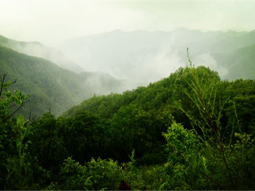 王府竹海度假旅游区