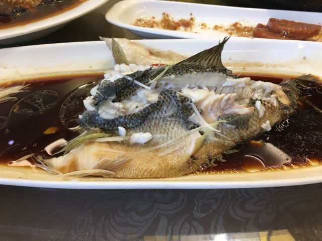 陳麻婆豆腐(青華路店)