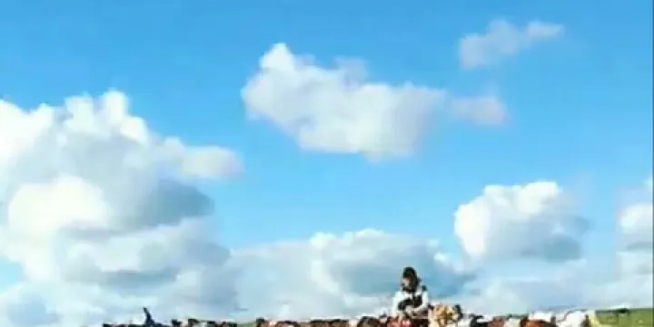 阿爾善圖呼都格