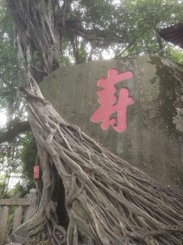 於山