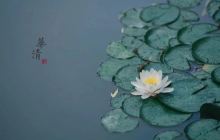 机票改签和退票收取的手续费如何索要发票?