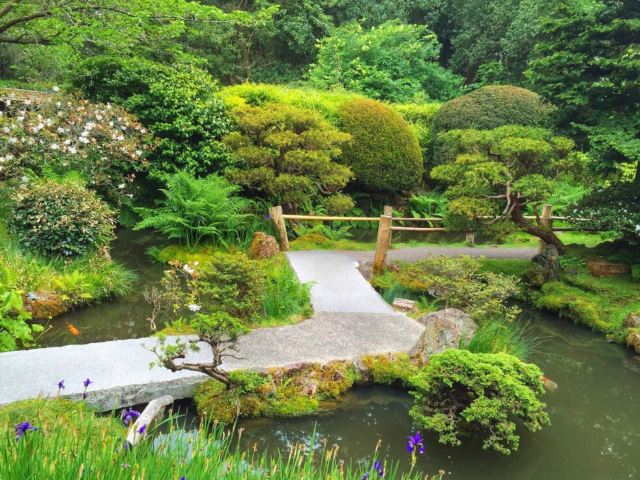 Japanese Tea Garden