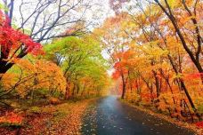 蒲石河森林公园-凤城-玉峰山庄