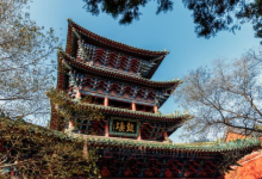博爱旅游图片-焦作+郑州+洛阳三日游