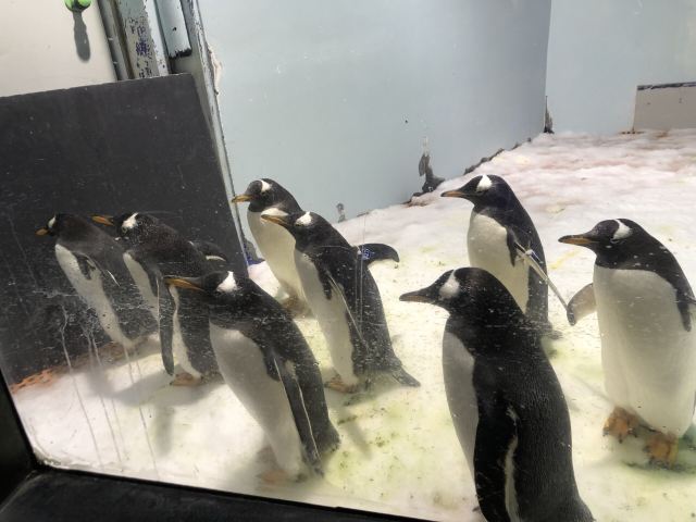Grandview Aquarium