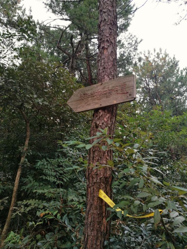 고로산