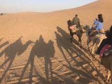 腾格里沙漠-阿拉善左旗-可可喵0_0