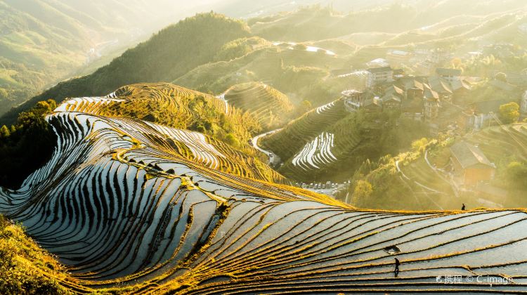 5-Day Autumn Exclusive: Thursday Save CNY 180 Per Person&Visit layered Longji Terraces, cruise Li River essence, Yulong River, Impression Sanjie Liu. DJI follow shot & aerial photography, 8 meals included.