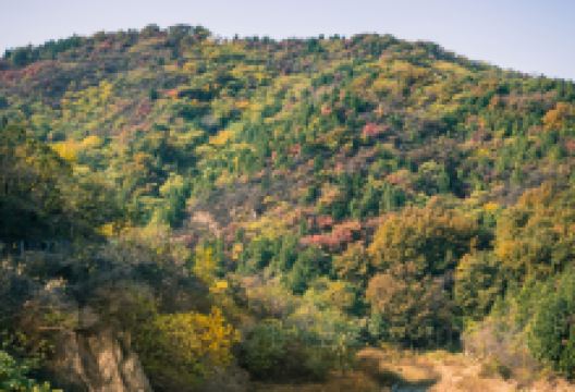 百望山森林公园景点图片