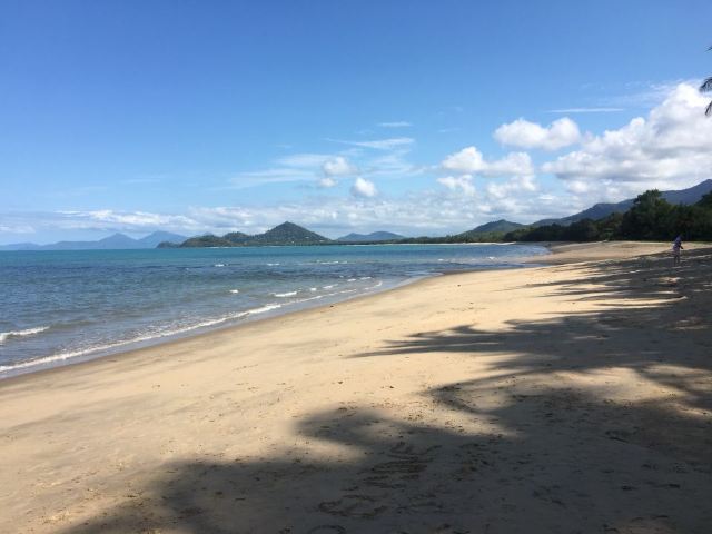Palm Cove