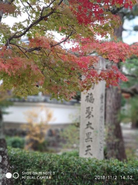 2018 京都+奈良+大阪