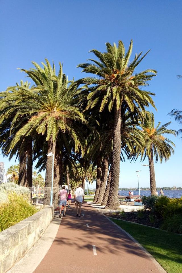 Get Cottesloe Beach Attractions M48 13 Perth Travel Review Travel Desktop Wallpaper Free Get Wallpaper Cottesloe Beach Attractions M48 13 Perth Travel Review Travel HD