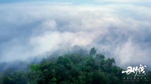 苏门答腊游记图文-航拍苏门答腊岛万年原始森林，朱丹《丹行线》中的最美印尼自然风情！