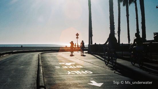 Venice Beach Boardwalk