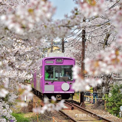 日本大阪+京都+奈良+神户7日6晚私家团